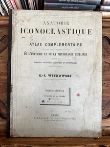 Witkowski, ikonoklastische Anatomie, Genitalien und Damm der Frau - Bild 1 von 6