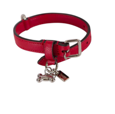 Las mejores ofertas en Collares de perro de cuero correas para perros  estándar | eBay