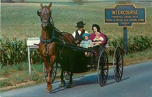 Postal Amish Buggy Pennsylvania Dutch Intercourse PA - Imagen 1 de 3