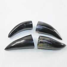 4 Polished Cow Horn Tips #5923 Natural colored