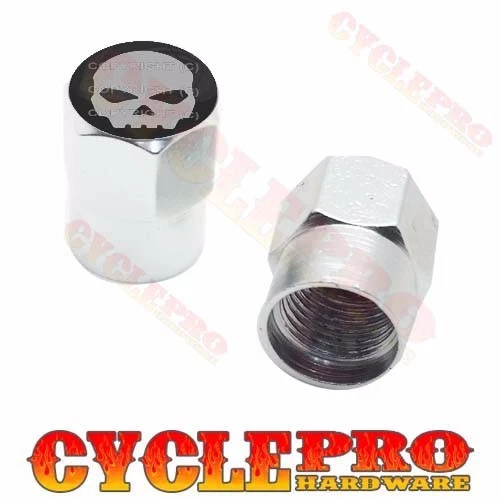 2 Tapas de válvula personalizadas de aluminio Billet plateadas hexagonales para motocicleta - GRIS CALAVERA G Foto 1 de 1