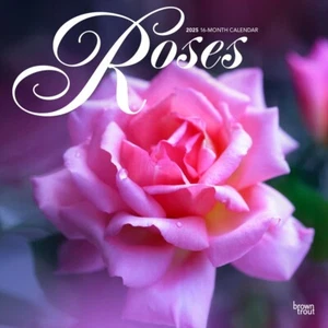 Roses | 2025 12x24" Monthly Square Wall Calendar | Plastic-Free - Picture 1 of 9
