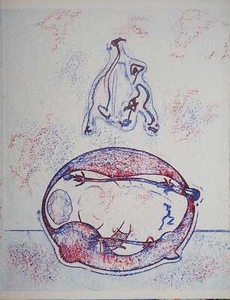 Max ERNST : Après moi le XXème siècle, Lithographie originale - Picture 1 of 6