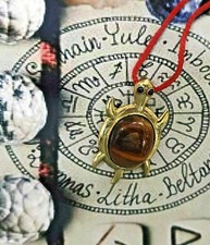 TRILLIONAIRE MAKER REAL OCCULT TIGER EYE TARTARUGA ENERGIZZATO PANDENTE...