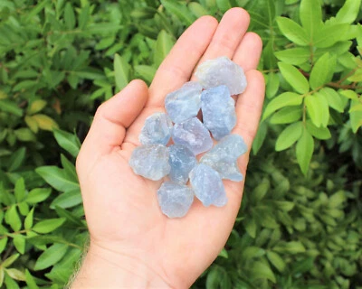 Celestite Rough Chips Natural: Choose Amount (Raw Celestite Crystals, Celestine) - Image 1 of 4