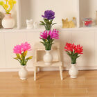1:12 Dollhouse Miniature Vase Potted Plants Flowerpot Bonsai Garden Home Dec S^3
