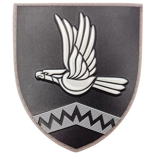 Ukraine Militär Armee Patch 10. Angriffsbataillon der 59. Brigade PVC - Bild 1 von 3