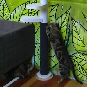 Monkee Tree Scratch Patch Wrap-Around Accessory for the Monkee Tree Cat Climber - Picture 1 of 2