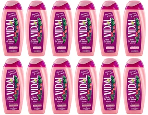 12er-Pack Vidal Berries Musk Docciaschiuma,Duschschaum Brombeere Moschus 250ml - Bild 1 von 9