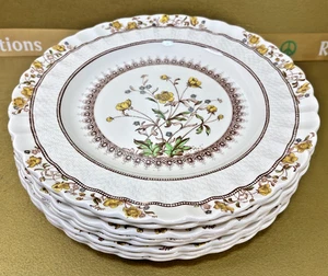 Spode Buttercup Speiseteller 8er Set - 10,5" älterer Bodenstempel gelbe Blumen 🌻 - Bild 1 von 24