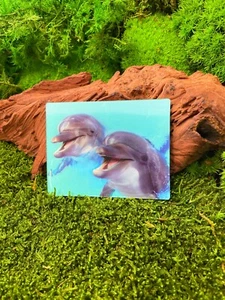 Delfine Fische Delphine 9x7cm 3D Kühlschrankmagnet Magnet Karte Bild - Picture 1 of 2