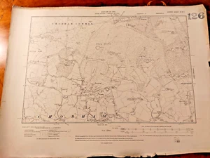Original 1919 OS Sheet Map Chobham Common Stannershill Burrowhill Albury Bottom - Picture 1 of 1