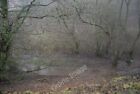Photo 6X4 Stream In Caer Caradoc Wood All Stretton  C2010