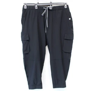 Talbots Plus Black Stretch Waist Cargo Pants Jogger 3X - Picture 1 of 8