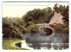 Puente de colección de Massachusetts sobre Scarboro Pond Franklin Park, Boston MA. c1906 - Imagen 1 de 3