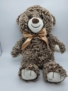 Fao Schwarz Bears That Care Teddybär 18 Zoll Stofftier Plüschtier - Bild 1 von 3