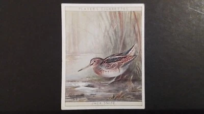 J. PLAYER. 1928.  NO 22.   GAME BIRDS AND WILD FOWL,  JACK  SNIPE. - Image 1 of 2