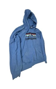 Patagonia Line Logo Midweight Organic Cotton Pullover Hoodie Blue Men’s Medium - Picture 1 of 7
