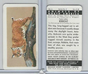 Bobcat #4 FC34-3 Brook Bond, Animals North America, 1960 - Imagen 1 de 1