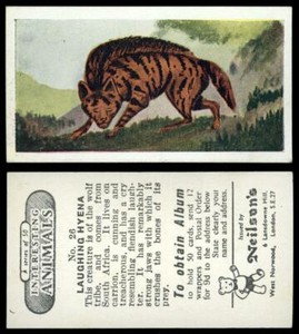 Laughing Hyena #26 Interesting Animals 1954 Neilson's Card
