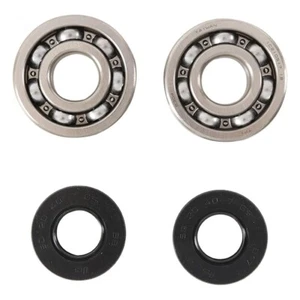 HOT RODS K004 KIT CUSCINETTI E PARAOLI ALBERO MOTORE KAWASAKI KX 100 2015 - Foto 1 di 1