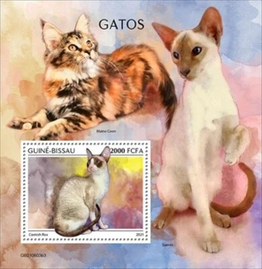 Guinea-Bissau - Raza de gato Cornish Rex 2021 - Hoja de recuerdo de estampillas - GB210603b3 - Imagen 1 de 1
