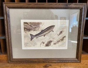 Gerahmter Mike Stidham Atlantischer Lachs handkolorierter Radierung Druck Bild signiert - Bild 1 von 7