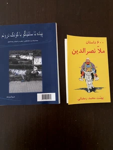 Two Persian Mulla Nasreddin and Walking The Camino to Santiago Books in Farsi - Picture 1 of 1