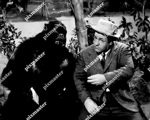 ABBOTT AND COSTELLO  1941  in KEEP 'EM FLYING 8 X 10 GORILLA POSTER SCENE CARD - Picture 1 of 1