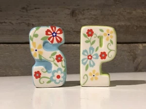 Boston Warehouse Floral "S" "P" Salz & Pfefferstreuer handbemalt Keramik - Bild 1 von 6