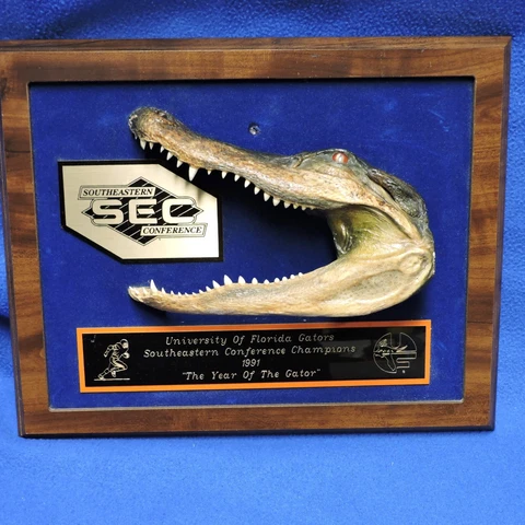 1991 Florida Gator Football SEC Champions Wall Plaque Trophy Real Gator Head Cover