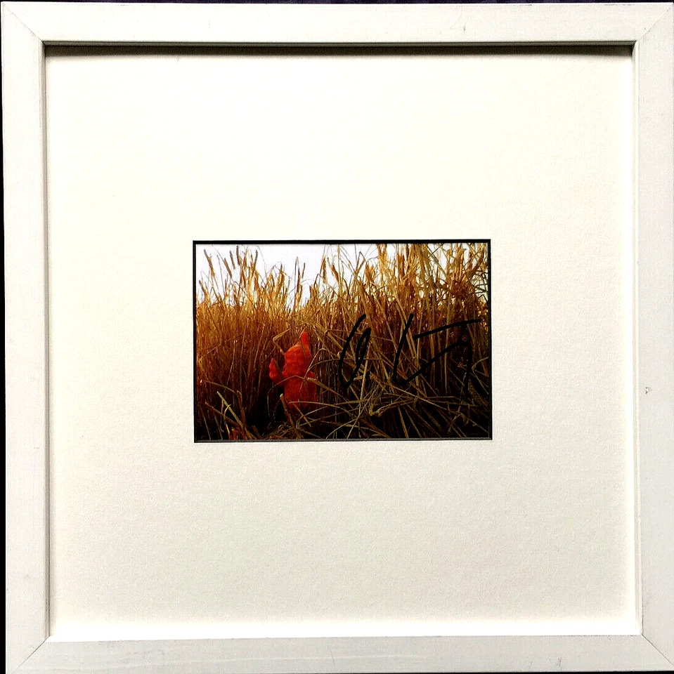 OTTMAR HÖRL  Sponti  HAND-SIGNIERT, Multiple, mit Rahmen, SELTEN - Bild 1 von 4