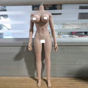 JIAOU DOLL 1:6 Suntan Skin Figure Body Large Bust 12inch Female Toys JOQ-10E-Bag - Picture 1 of 10
