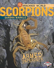 Scorpions : Armored Stingers Library Binding Sandra Markle