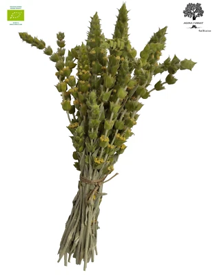 AGORAMARKET Tè Greco di Montagna Biologico Certificato Sideritis Raeseri | 2025