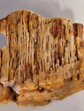 Natural Petrified Wood? Fossil Crystal Rough Specimen Interesting Pattern 7.35oz