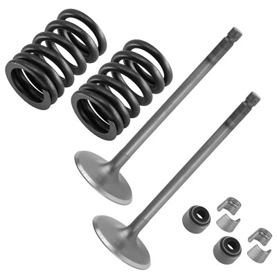 2x Intake Valve Kit for Yamaha Grizzly 700 YFM700 4x4 2008 2009-2015 2019-2022 - Image 1 of 4