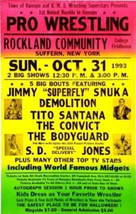 SUPERFLY SNUKA TITO SANTANA DEMOLITION 8X10 POSTER PHOTO WRESTLING PICTURE WWF - Picture 1 of 1