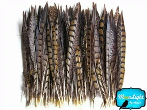 Piume fagiane, Piume coda Amherst Naturali da donna 8-10" - 10 pezzi - Foto 1 di 4