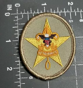 Boy Scouts of America BSA Scouting Star Scout Rang Abzeichen Emblem Abzeichen Patch - Bild 1 von 6
