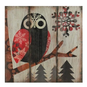 Raz 13.75" Alpine Chic Wide - Eyed Owl in Woods Snowflakes Wall Art Plaque - Picture 1 of 2