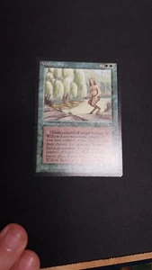 English Willow Satyr Ex+MTG magic Legends A1 - Picture 1 of 2