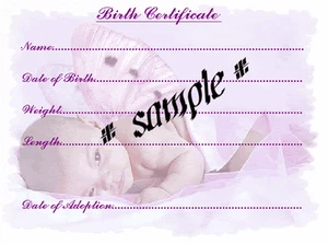 GORGEOUS PINK BIRTH CERTIFICATE/CERTIFICATES 4 REBORN FAKE BABY approx 7"x 5" - Picture 1 of 1
