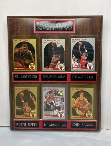 Chicago Bulls 1991 World Champions Plaque - Michael Jordan - Pippen - Horace Cover