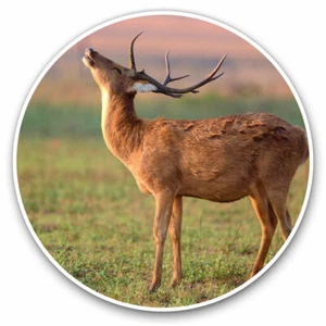 2 x Vinyl Stickers 30cm - Barasingha Deer India Indian Cool Gift #12483 - Afbeelding 1 van 9