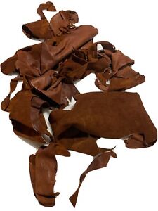 Scrap Deer Leather 2.8 Pounds of Brown Deer Hide Remnants Pieces