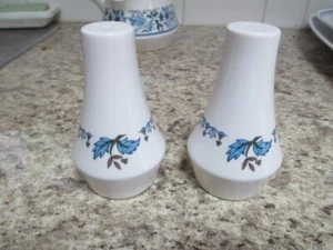 NORITAKE Progression Blue Moon Salt and pepper shakers Pattern 9022 - Picture 1 of 2