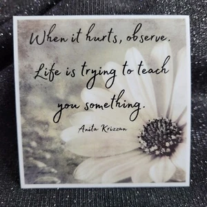 STKR015 Inspire Motivate Life Quote Sticker - Observe Teaching Hurt Learn Teach - Picture 1 of 3