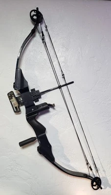 Arco de tiro con arco compuesto Golden Eagle  Foto 1 de 4