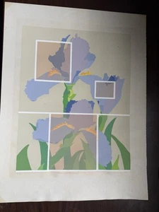 Lila Iris auf Beige - signiert Limited Edition 25.04.1983 - Bild 1 von 5